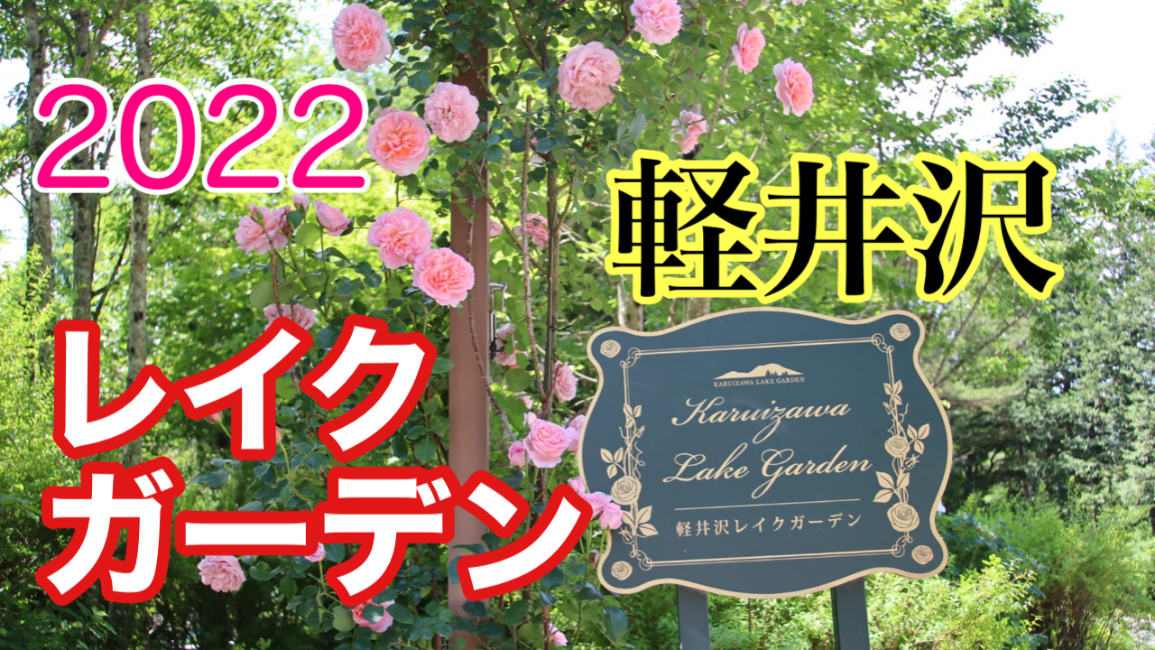バラの水彩画　軽井沢レイクガーデン　内藤マリナ ローズシーズン期間中「内藤マリナ」水彩画展開催🌹 | 軽井沢